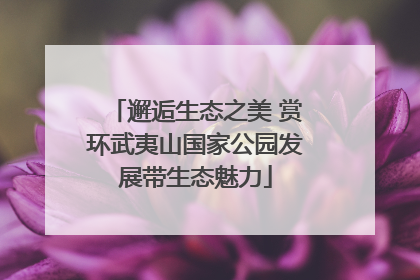 邂逅生态之美 赏环武夷山国家公园发展带生态魅力