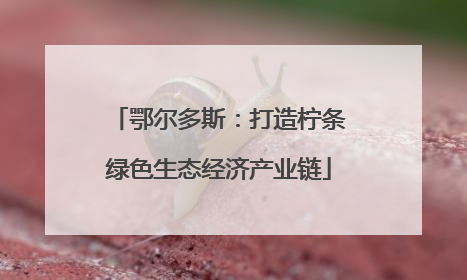 鄂尔多斯：打造柠条绿色生态经济产业链
