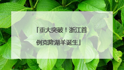 重大突破！浙江首例克隆湖羊诞生
