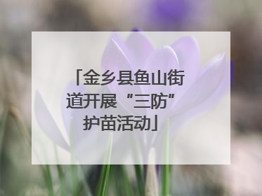 金乡县鱼山街道开展“三防”护苗活动