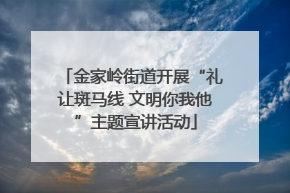 金家岭街道开展“礼让斑马线 文明你我他”主题宣讲活动