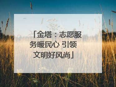 金塔：志愿服务暖民心 引领文明好风尚