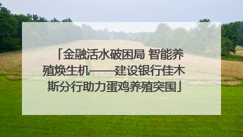 金融活水破困局 智能养殖焕生机——建设银行佳木斯分行助力蛋鸡养殖突围