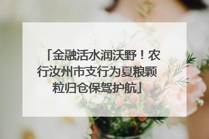 金融活水润沃野！农行汝州市支行为夏粮颗粒归仓保驾护航