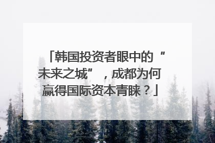 韩国投资者眼中的“未来之城”，成都为何赢得国际资本青睐？
