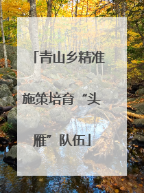 青山乡精准施策培育“头雁”队伍