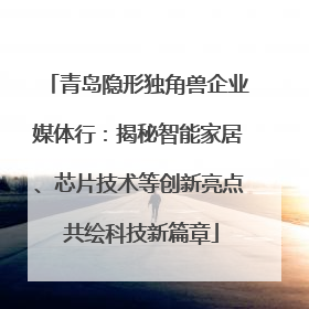 青岛隐形独角兽企业媒体行：揭秘智能家居、芯片技术等创新亮点 共绘科技新篇章