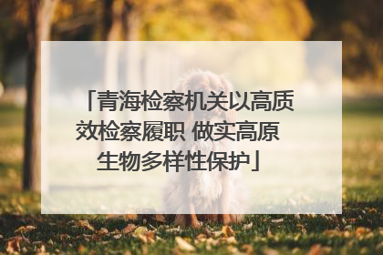 青海检察机关以高质效检察履职 做实高原生物多样性保护