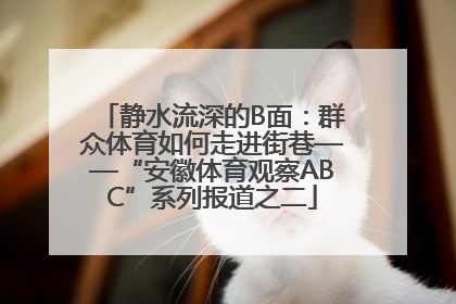 静水流深的B面：群众体育如何走进街巷——“安徽体育观察ABC”系列报道之二