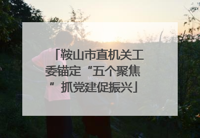 鞍山市直机关工委锚定“五个聚焦”抓党建促振兴