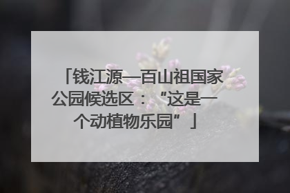 钱江源—百山祖国家公园候选区：“这是一个动植物乐园”