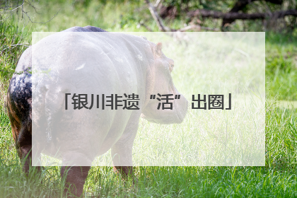 银川非遗“活”出圈