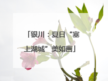 银川：夏日“塞上湖城”美如画