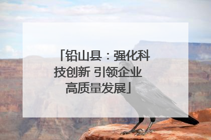 铅山县：强化科技创新 引领企业高质量发展