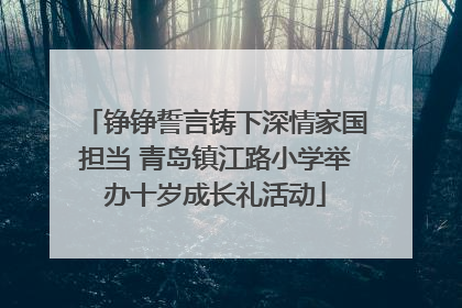 铮铮誓言铸下深情家国担当 青岛镇江路小学举办十岁成长礼活动