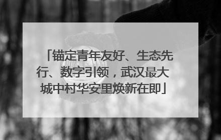锚定青年友好、生态先行、数字引领，武汉最大城中村华安里焕新在即