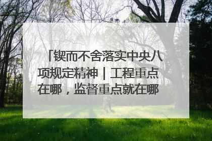 锲而不舍落实中央八项规定精神｜工程重点在哪，监督重点就在哪——广西深化政治监督护航平陆运河建设