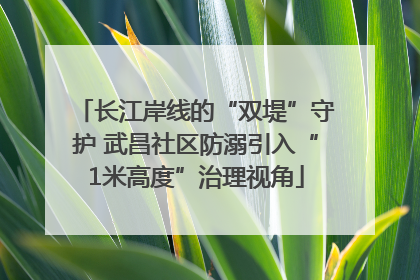长江岸线的“双堤”守护 武昌社区防溺引入“1米高度”治理视角