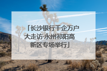 长沙银行千企万户大走访·永州祁阳高新区专场举行