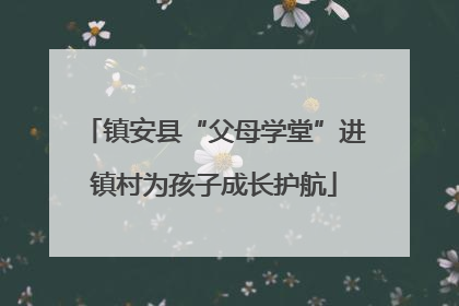 镇安县“父母学堂”进镇村为孩子成长护航
