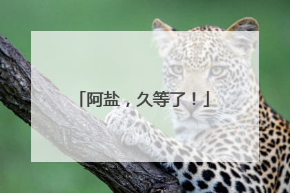 阿盐，久等了！