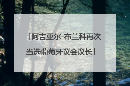 阿吉亚尔-布兰科再次当选葡萄牙议会议长