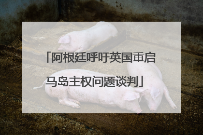阿根廷呼吁英国重启马岛主权问题谈判