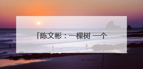 陈文彬：一棵树 一个庄 一块碑 一位英雄