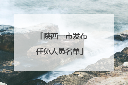 陕西一市发布任免人员名单