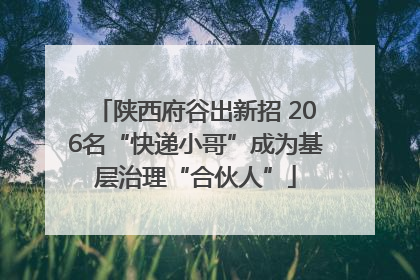 陕西府谷出新招 206名“快递小哥”成为基层治理“合伙人”