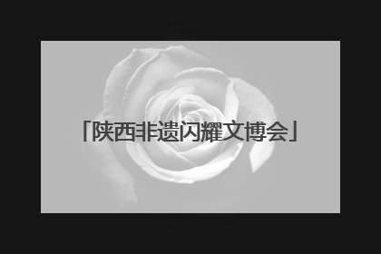 陕西非遗闪耀文博会