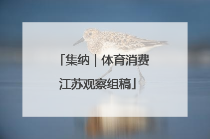 集纳｜体育消费江苏观察组稿