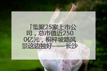 集聚25家上市公司，总市值近2500亿元，桐梓坡路风景这边独好——长沙有条“上市路”