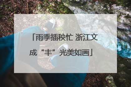 雨季插秧忙 浙江文成“丰”光美如画