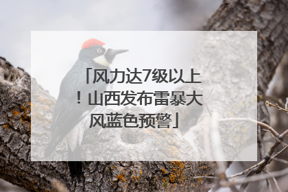 风力达7级以上！山西发布雷暴大风蓝色预警