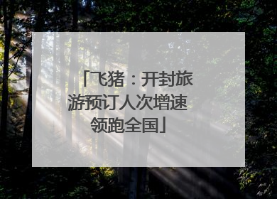 飞猪：开封旅游预订人次增速领跑全国
