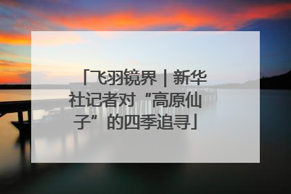 飞羽镜界｜新华社记者对“高原仙子”的四季追寻