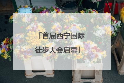 首届西宁国际徒步大会启幕