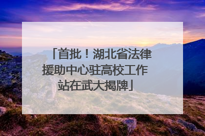 首批！湖北省法律援助中心驻高校工作站在武大揭牌