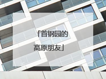 首钢园的高原朋友