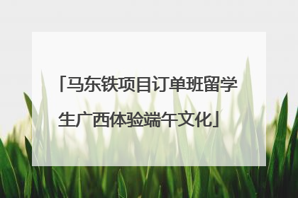 马东铁项目订单班留学生广西体验端午文化