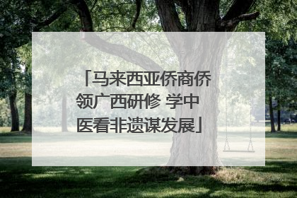 马来西亚侨商侨领广西研修 学中医看非遗谋发展