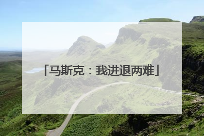 马斯克：我进退两难
