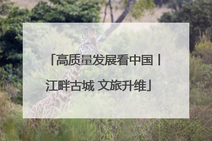 高质量发展看中国丨江畔古城 文旅升维