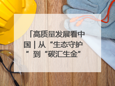 高质量发展看中国｜从“生态守护”到“碳汇生金”——中国石油大庆油田绿色蝶变