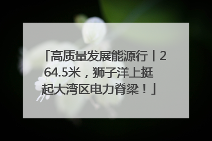 高质量发展能源行丨264.5米，狮子洋上挺起大湾区电力脊梁！