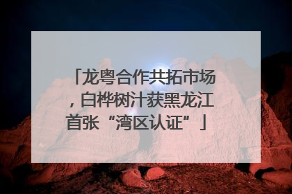 龙粤合作共拓市场，白桦树汁获黑龙江首张“湾区认证”