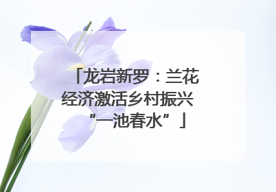 龙岩新罗：兰花经济激活乡村振兴“一池春水”