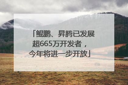 鲲鹏、昇腾已发展超665万开发者，今年将进一步开放