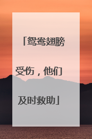 鸳鸯翅膀受伤，他们及时救助